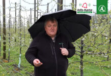 Ochrona drzew pestkowych przed przymrozkami – komunikat sadowniczy, Agrosimex