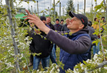 Spotkanie Czereśniowe w Bykach – 27.04.2023 [O czym mówiono?]