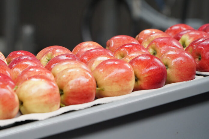 Export Apple