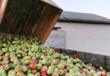 Bruksela gotowa wprowadzić cła także na mrożone owoce i koncentrat jabłkowy