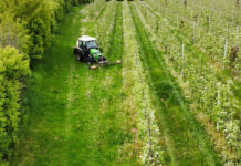 Weź udział w konkursie na najlepszą pracę dyplomową – AgroAbsolwent