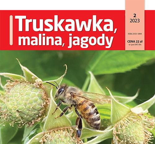 Truskawka, malina, jagody 2/2023 - okładka