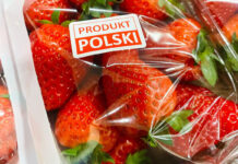 Polskie truskawki szklarniowe trafiają do kolejnych marketów