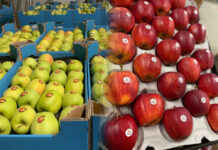 Eksport jabłek w I kwartale pozytywnie zaskakuje