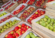 Hurtowe ceny jabłek, a większa podaż nowalijek i truskawek