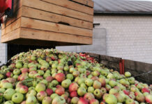 Niewykluczone, że ceny jabłek deserowych wzrosną pod koniec tego sezonu?