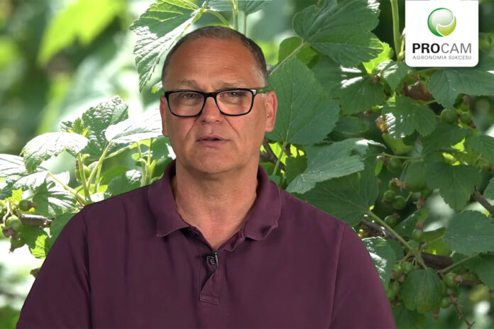 Krzysztof Gasparski