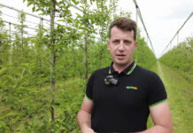 #1 Komunikat sadowniczy – Łukasz Widłak, AgroFresh, 24.05.2023