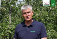 Komunikat sadowniczy – Robert Binkiewicz, Agrosimex, 24.05.2023