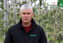 Komunikat sadowniczy – Robert Binkiewicz, Agrosimex, 18.05.2023