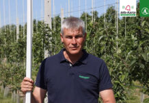 Komunikat sadowniczy – Robert Binkiewicz, Agrosimex, 30.05.2023