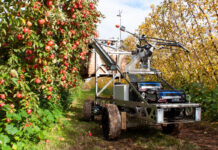 Robot do zbioru jabłek pracuje 30% szybciej niż przed rokiem. Kiedy prześcignie człowieka?