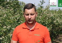 Komunikat dla borówek – Tomasz Domański, Agrosimex, 23.05.2023