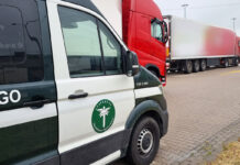 Liczne nieprawidłowości podczas kontroli ciężarówek z importowaną żywnością