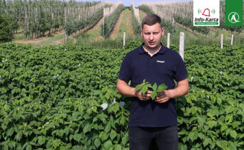 komunikat agrosimex