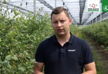 Komunikat dla borówek – Tomasz Domański, Agrosimex, 06.06.2023