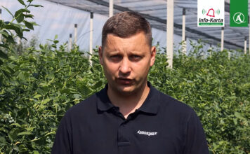 tomasz domanski