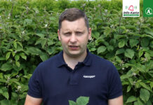 Komunikat dla malin – Tomasz Domański, Agrosimex, 31.05.2023