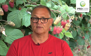 Krzysztof Gasparski
