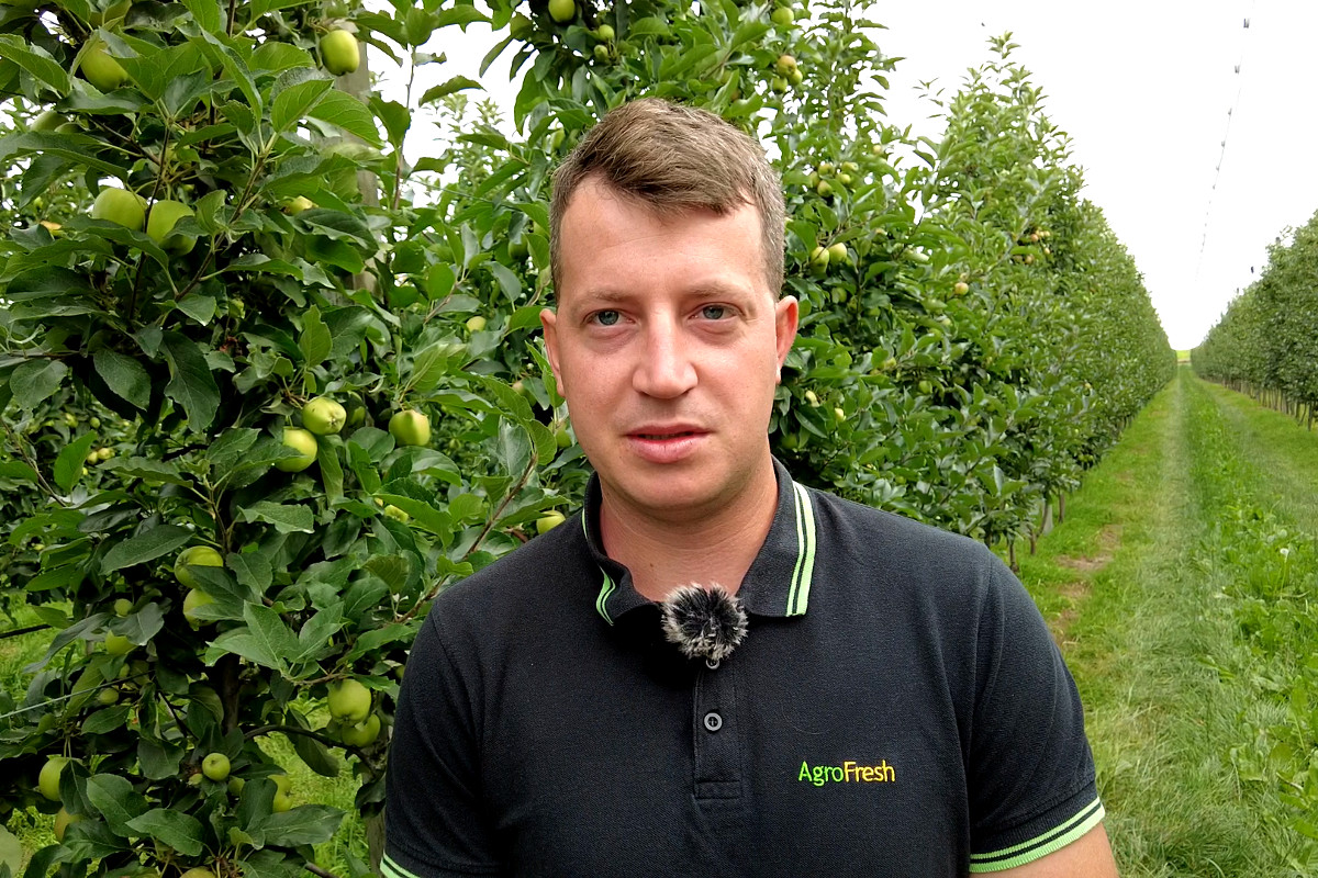 Sytuacja w sadach jest bardzo zróżnicowana – Łukasz Widłak, AgroFresh, 24.07.2023