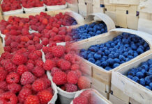 Ceny skupu owoców jagodowych i pestkowych w grupach producenckich, 24.07.2023