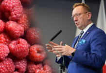Działań ze strony rządu brak, a przecież dla plantatorów liczy się każdy dzień