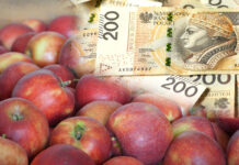 Kurs złotego wobec dolara i euro a eksport jabłek w 2024