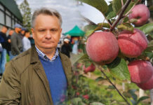Zbiory jabłek będą niższe od prognoz GUS i WAPA. Przetwórcy nie mają powodów do radości