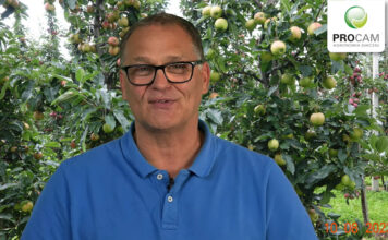 Krzysztof Gasparski