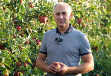 Ochrona jabłek przed chorobami przechowalniczymi – Tomasz Gasparski, Bayer, 27.08.2023