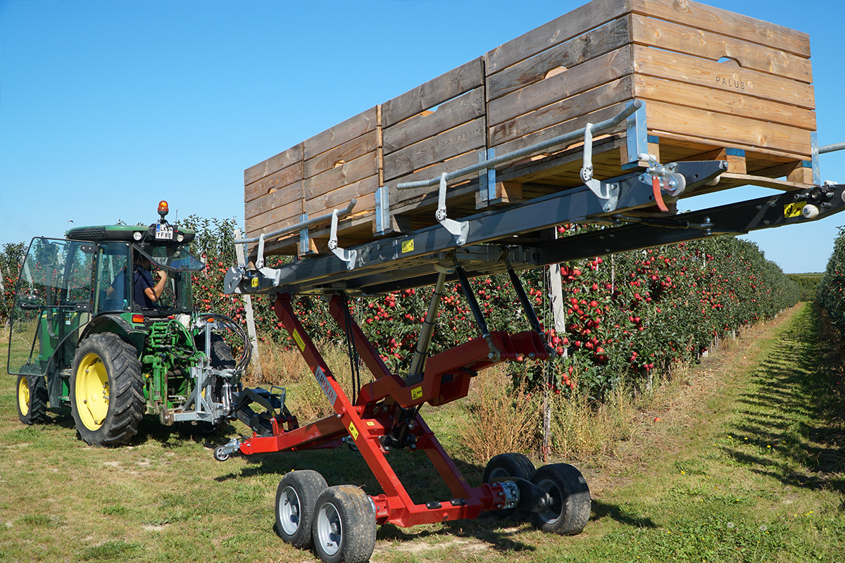 KRÓLIK bin handling system. Jak sprawdza się w gospodarstwie braci Palus? [Video]