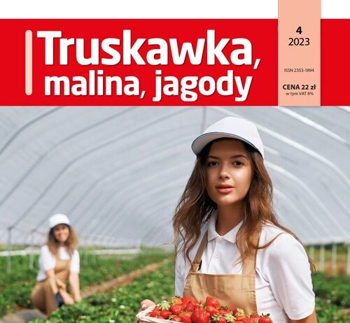 TMJ okładka 4/2023