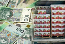 eksport złoty
