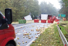 Wypadek trzech aut koło Skierniewic. Jabłka przemysłowe w rowie