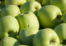 ceny jablek 2023