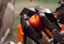 Produkują traktory, wyprodukują też roboty do zbioru jabłek