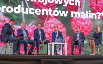 debata