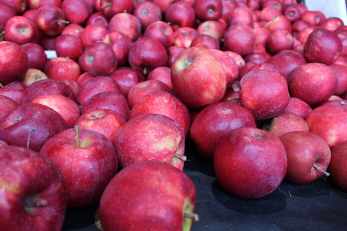 Apple exportă