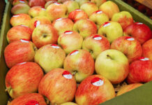 ceny jabłek w marketach