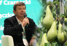 Wojciech Kot sadownik