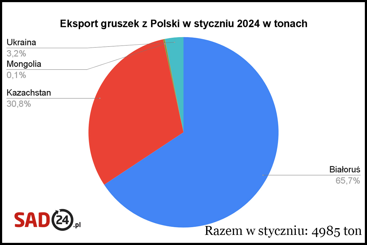 eksport gruszek w styczniu w tonach 2024