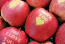 Walentynkowe jabłka to bardzo kapryśny i ryzykowny biznes…