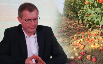 kontraktacja jabłek przemysłowych