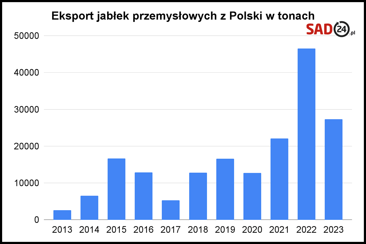 eksport jabłek przemysłwoych z Polski