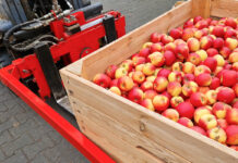 Ceny jabłek przemysłowych nadal stabilne